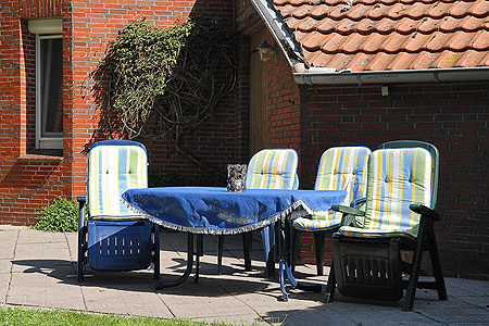 Foto aus der Fotogruppe 